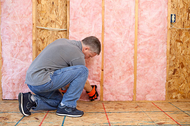 Best Insulation Maintenance and Repair in Taft, CA